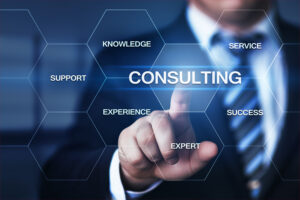 Computer consulting services